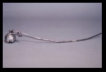 Candle Snuffer